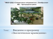 Презентация по биологии на темуУрок-викторина