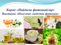 Таныстырылым Пайдалы фито шәйлар