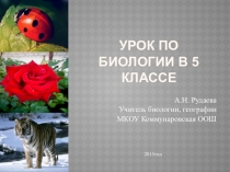 Презентация к уроку биологии 5 класс Среды жизни на планете Земля