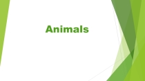 Презентация по английскому языку на тему Animals (3 класс)