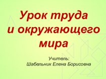 Презентация Интегрированный урок труда и окружающего мира Поделка из бумаги птички питты ( 2 класс)
