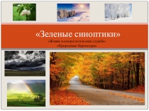 Презентация по биологии Зеленые синоптики