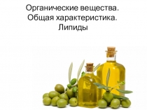 Органические вещества. Липиды