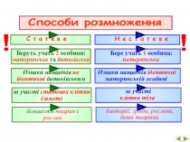 Презентація з біології на тему Квітка - орган статевого розмноження.