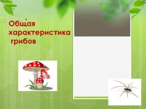 Презентация 7 класс на тему Грибы