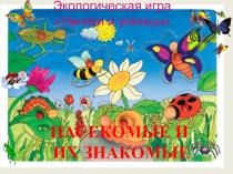 Презентация Игра Насекомые и их знакомые