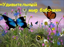 Презентация к исследовательскому проекту Удивительный мир бабочек 2 класс
