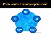 Презентация к уроку Химический состав клетки