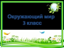 Презентация по окружающему миру на тему Природа и наша безопасность (3 класс)