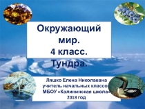Презентация по окружающему миру . Тундра. 4 класс