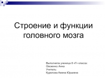 Презентация по биологии на темуСтроение и функции головного мозга(8 класс)