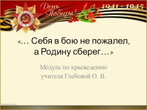 Презентация классного часа на тему Себя в бою не пожалел.