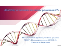 Презентация проекта Почему я похожа на своих родителей?
