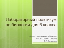 Лабораторный практикум по биологии для 6 класса