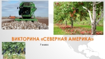 Викторина Северная Америка, 7 класс