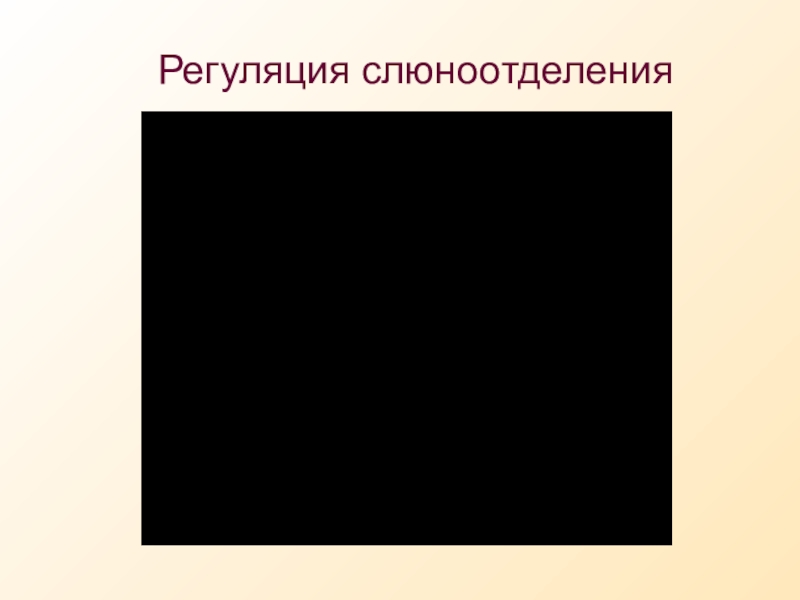Презентация по биологии Пищеварение в ротовой полости 9 класс Регуляция слюноотделения Регуляция слюноотделения
