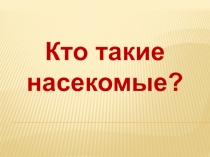 Конспект урока по окружающему миру Кто такие насекомые