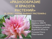 Презентация по окружающему миру на тему Какие бывают растения