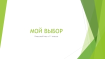 Презентация к классному часу по профориентации в 11 классе