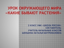 Презентация по окружающему миру: Какие бывают растения