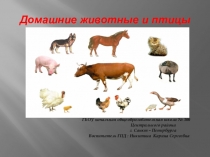 Презентация Домашние животные и птицы