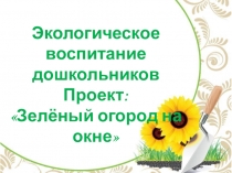 Экологическое воспитание дошкольников Проект: Зелёный огород на окне