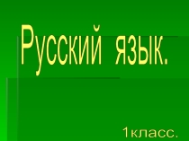 Презентация Тема: Имя существительное 8 класс (8 вид)