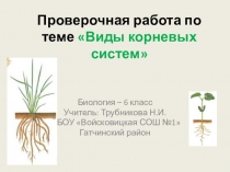 Проверочная работа по темеВиды корневых систем