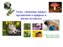 Презентация по биологии на темуЗначение живых организмов в природе и жизни человека