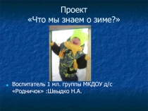 Проект на тему Что мы знаем о зиме?