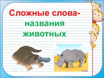 Презентация по русскому языку по теме: Сложные слова-названия животных.