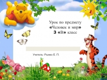 Урок с презентацией по человеку и миру для 3 класса Природное сообщество
