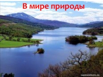 Презентация по окружающему миру Мир природы