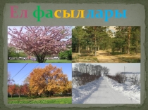 Презентация. Ел фасыллары 4класс
