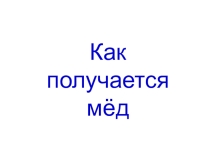 Презентация Как получается мед