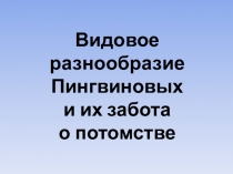 Презентация Видовое разнообразие Пингвиновых и их забота о потомстве