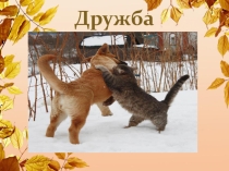 Конспект классного часа + презентация на тему Дружба