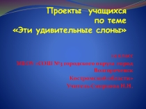 Презентация по окружающему миру Эти удивительные слоны