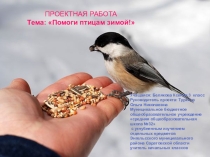 Презентация проектной работы по окружающему миру Помоги птицам зимой! 3 класс