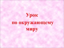 Презентация по окружающему миру на тему Наша дружная семья (2 класс)