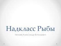 Надкласс Рыбы