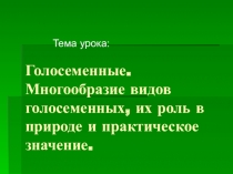 Презентация к уроку в 6 классе по теме Голосеменные. Многообразие видов голосеменных, их роль в природе и жизни человека.
