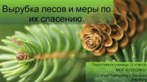 Презентация по экологии Вырубка лесов (9 класс)