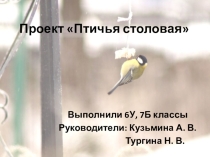 Презентация к проектной работе  Птичья столовая