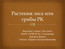 Презентация по краеведению на тему  Растения леса или грибы ( 2 класс)
