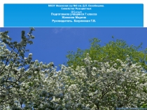 Презентация по биологии на тему Семейство Розоцветных. Яблоня