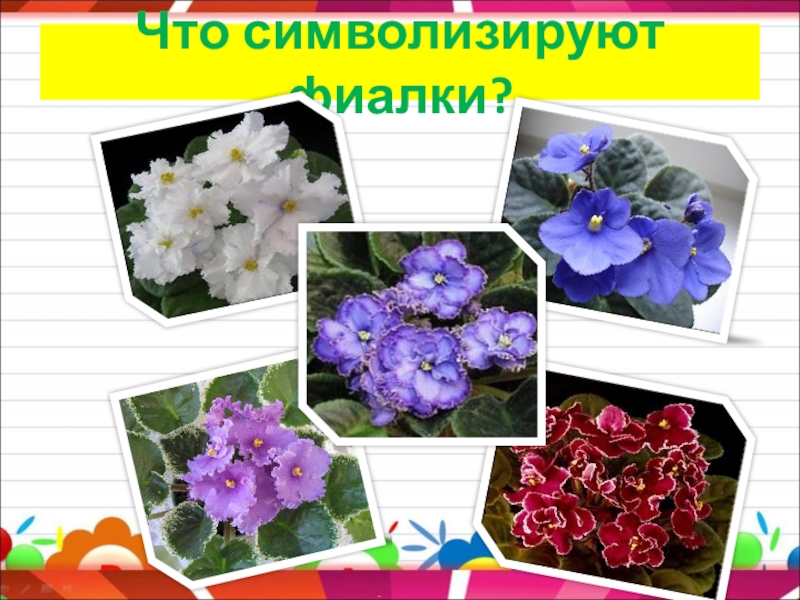 Исследовательский проект. Тема проекта: Выращивание комнатной фиалки Что символизируют фиалки? Что символизируют фиалки?