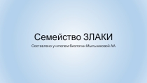 Презентация по биологии на тему Злаки