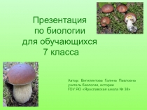 Презентация по биологии на тему Шляпочные грибы (7 класс)