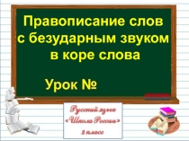 Презентация по русскому языку на тему
